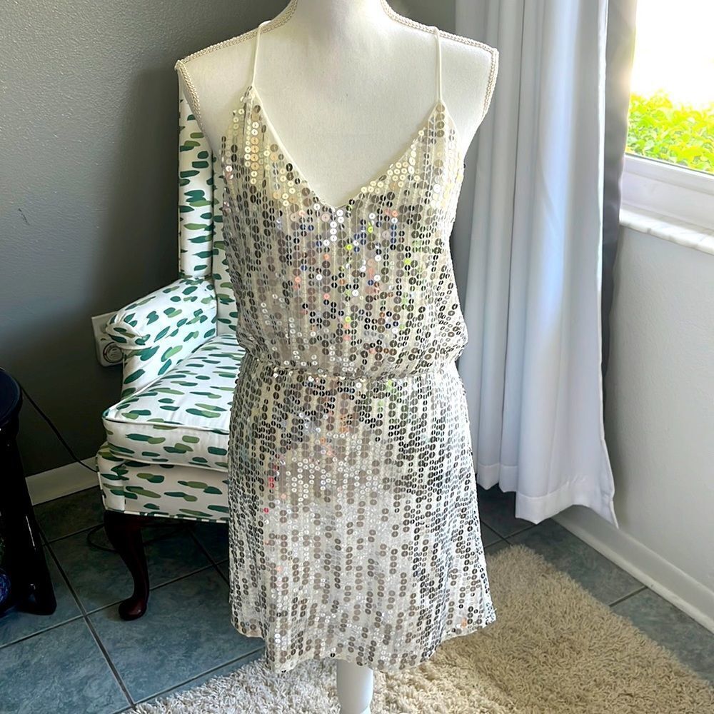Zara Silver Sequin Mini Dress
